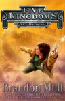 Sky Raider, Book Cover