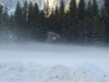 Snowy Forest Scene