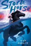 Storm Horse, Book Cover