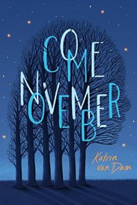 Come November, Book Cover