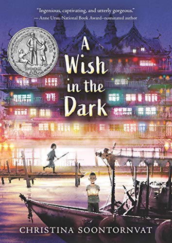 A Wish in the Dark, Book Cover