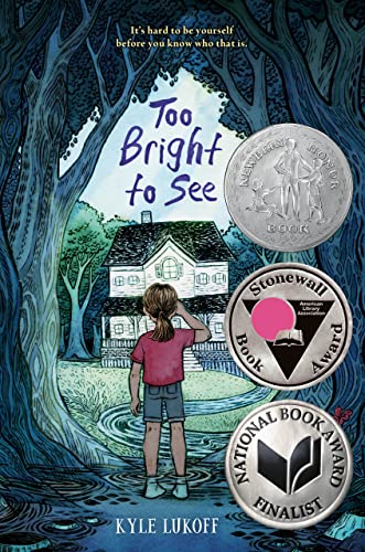 Too Bright to See, Book Cover