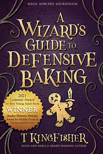 A Wizard's Guide to Defensive Banking, Book Cover